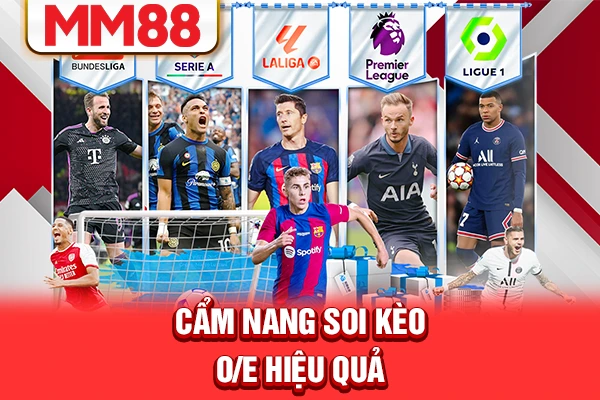 Cẩm nang soi kèo O/E hiệu quả