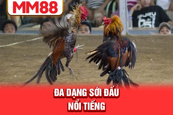 Đa dạng sới đấu nổi tiếng