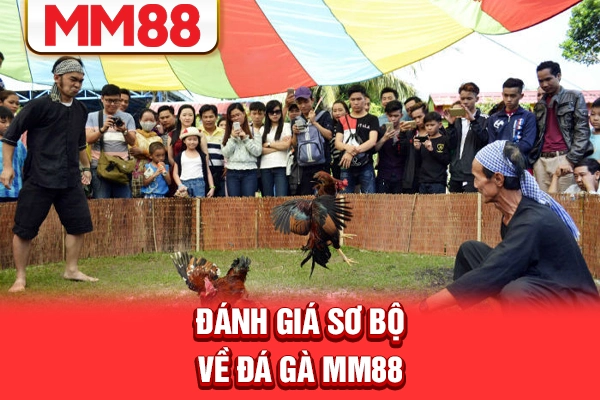 Đánh giá sơ bộ về đá gà MM88