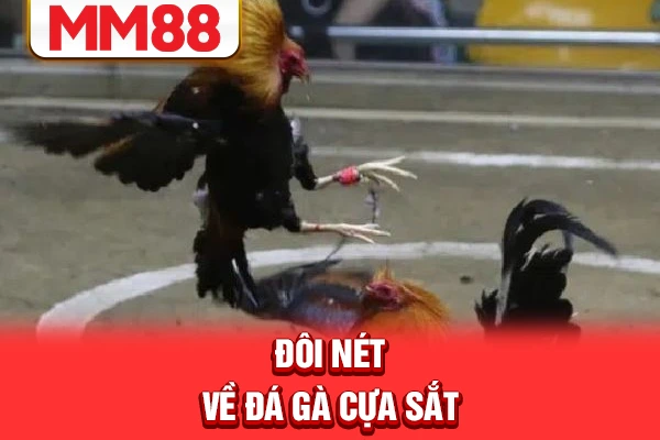 Đôi nét về đá gà cựa sắt