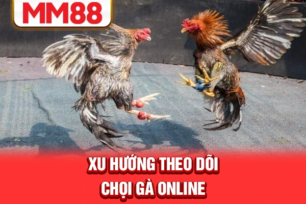 Xu hướng theo dõi chọi gà online